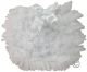Couche Tot CT01 Tutu Frilly Panties WHITE